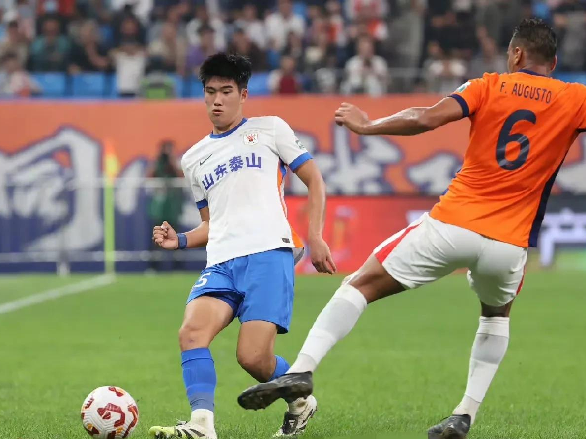 职业足球联赛战况扣人心弦，激情跃然纸上的简单介绍