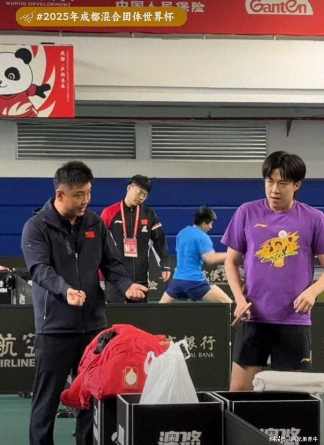 法国乒乓球队绝地反击日本乒乓球队,王皓统治全场的简单介绍 法国乒乓球队绝地反击日本乒乓球队,王皓统治全场的简单介绍